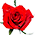 Madam-Red(png-2)